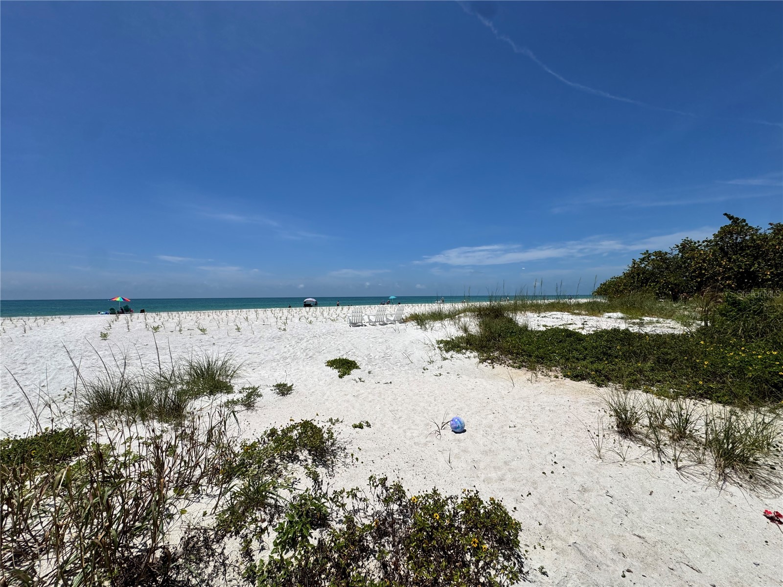 18838 Gulf Boulevard #202 Indian Shores FL 33785 TB8508857 image7