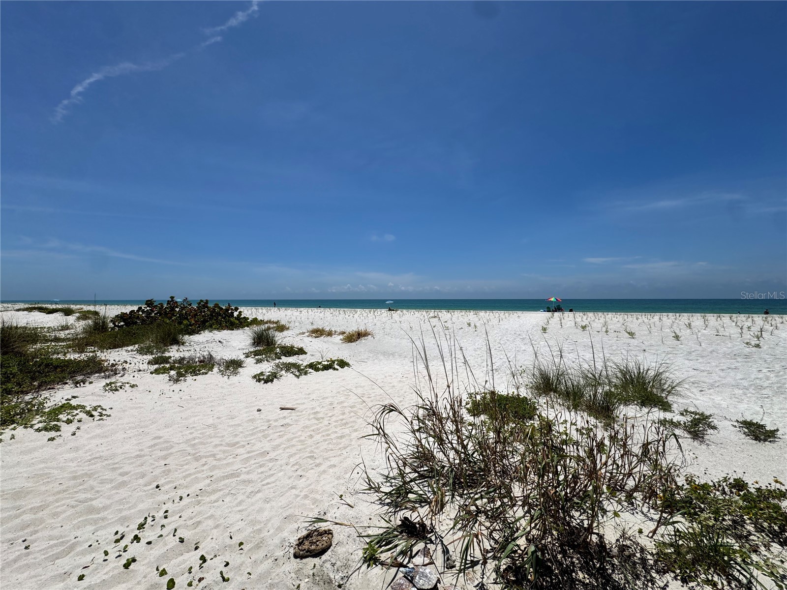 18838 Gulf Boulevard #202 Indian Shores FL 33785 TB8508857 image8