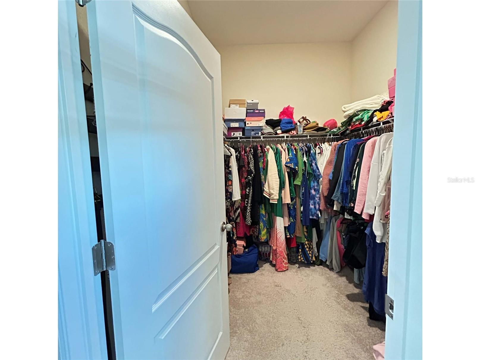 1884 Ibis Bay Court Ocoee FL 34761 O6388468 image7
