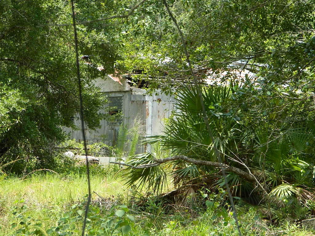 1884 NW Pine Creek Avenue Arcadia FL 34266 C7477479 image1