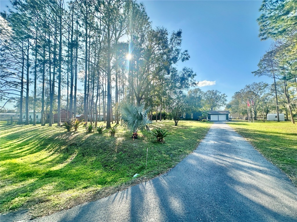 18840 Rustic Woods Trail Odessa FL 33556 TB8347924 image1