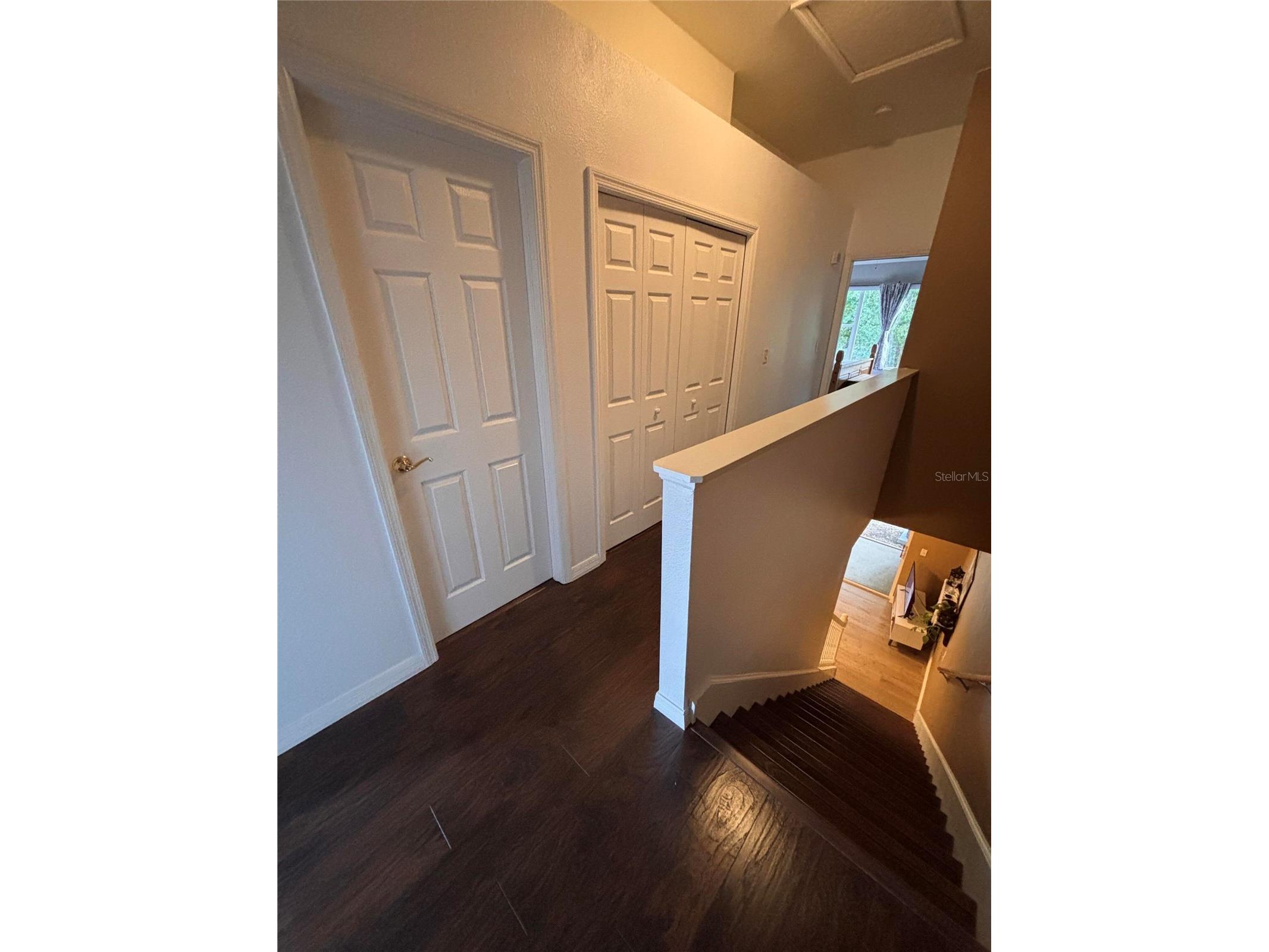 18842 Duquesne Drive Tampa FL 33647 O6405308 image17