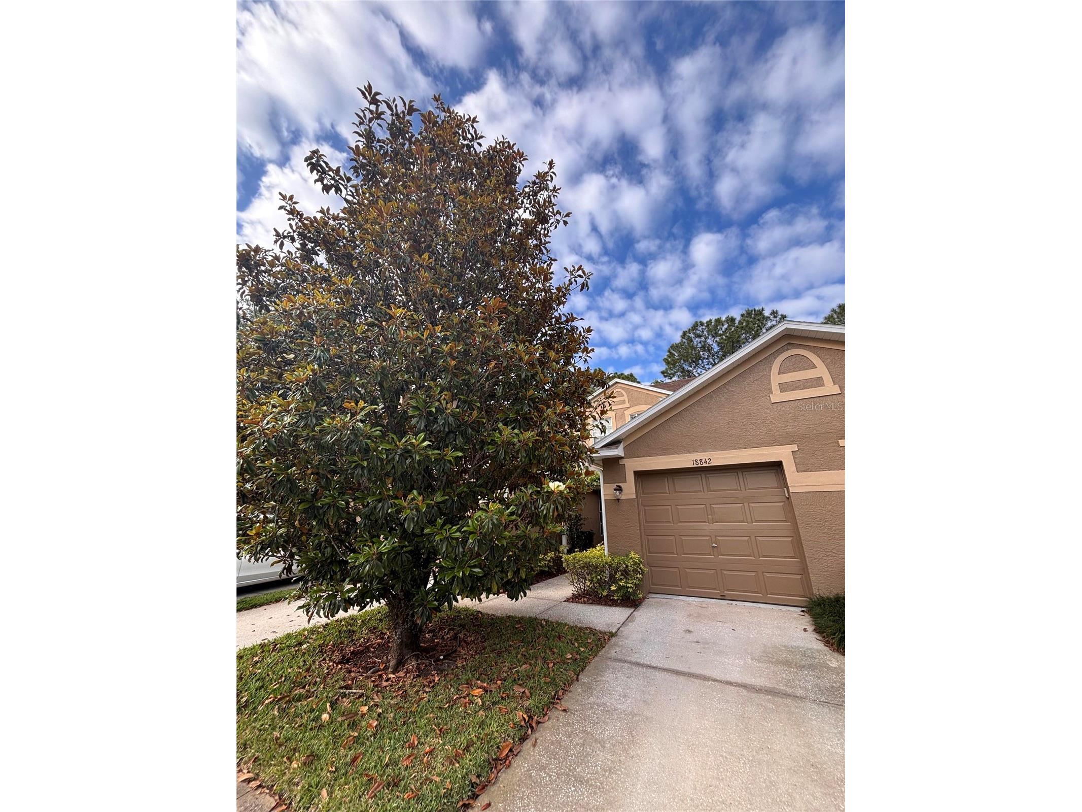 18842 Duquesne Drive Tampa FL 33647 O6405308 image30