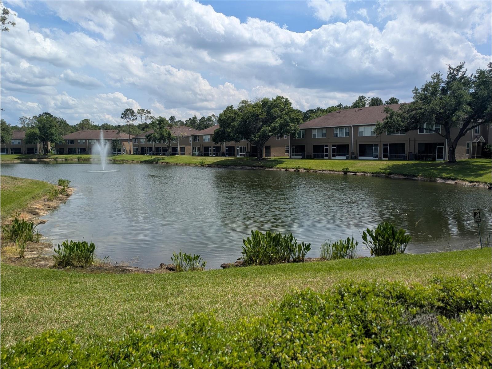 18842 Duquesne Drive Tampa FL 33647 O6405308 image36