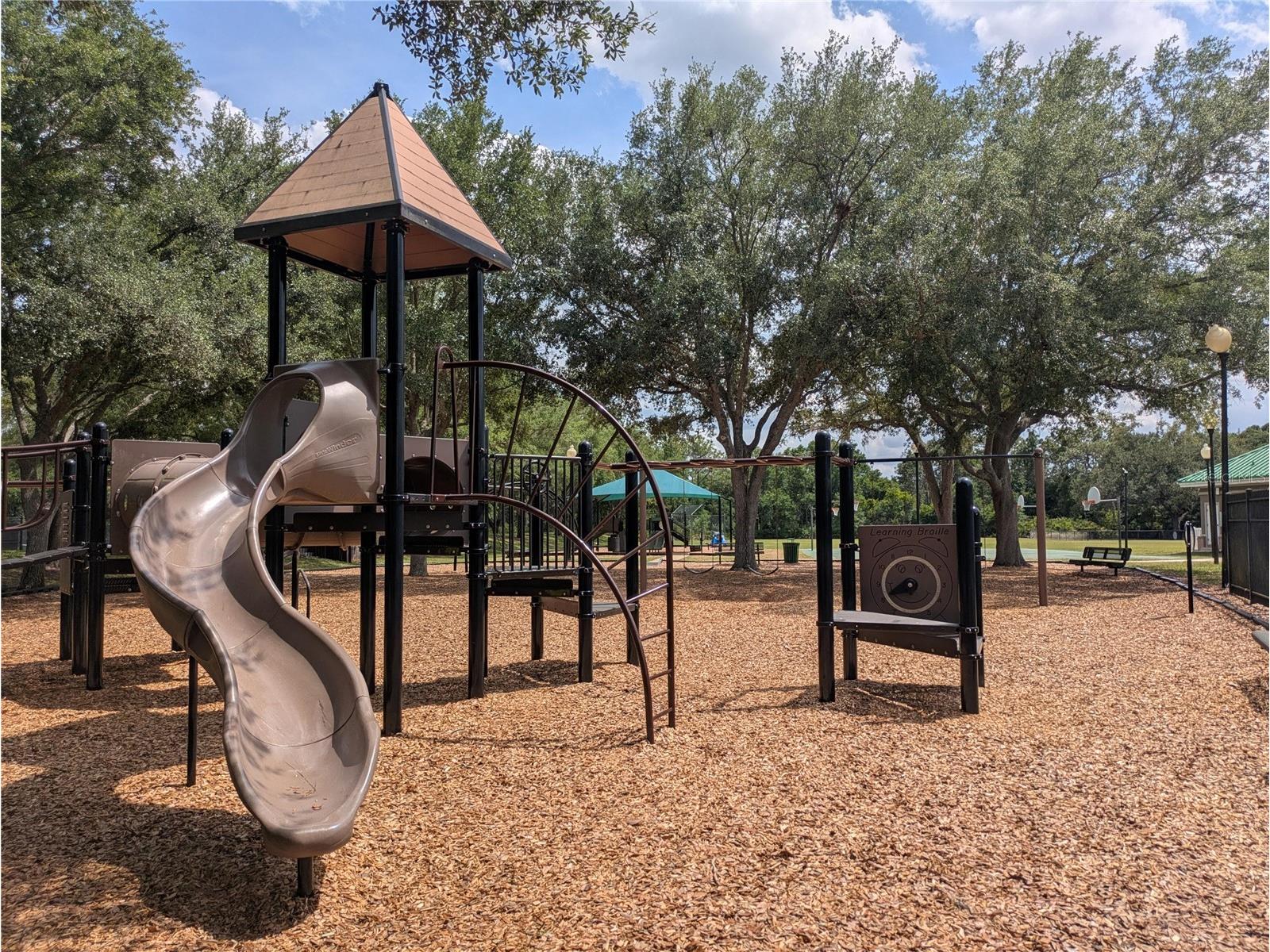 18842 Duquesne Drive Tampa FL 33647 O6405308 image41