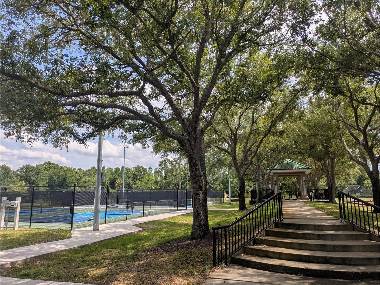 18842 Duquesne Drive Tampa FL 33647 O6405308 image42