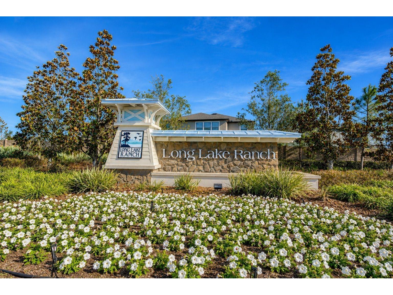 18843 Ulmus Street Lutz FL 33558 TB8510665 image39