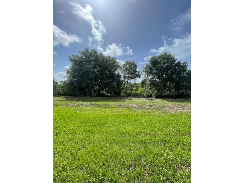 18848 Indian Rock Place Lakewood Ranch FL 34211 TB8436974 image5