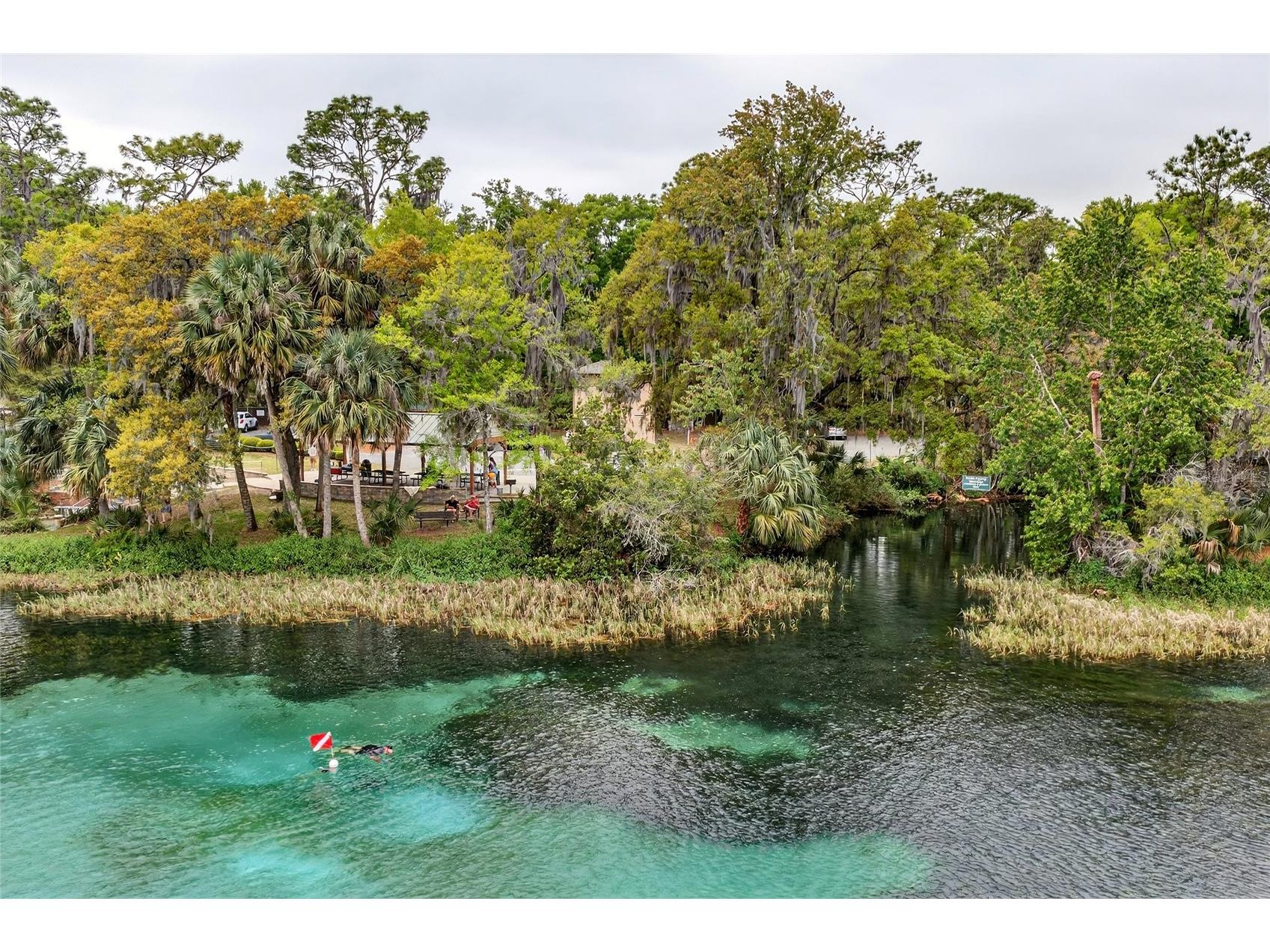 18848 SW 93rd Loop Dunnellon FL 34432 OM721454 image53