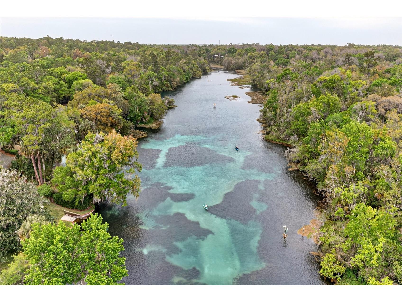 18848 SW 93rd Loop Dunnellon FL 34432 OM721454 image55