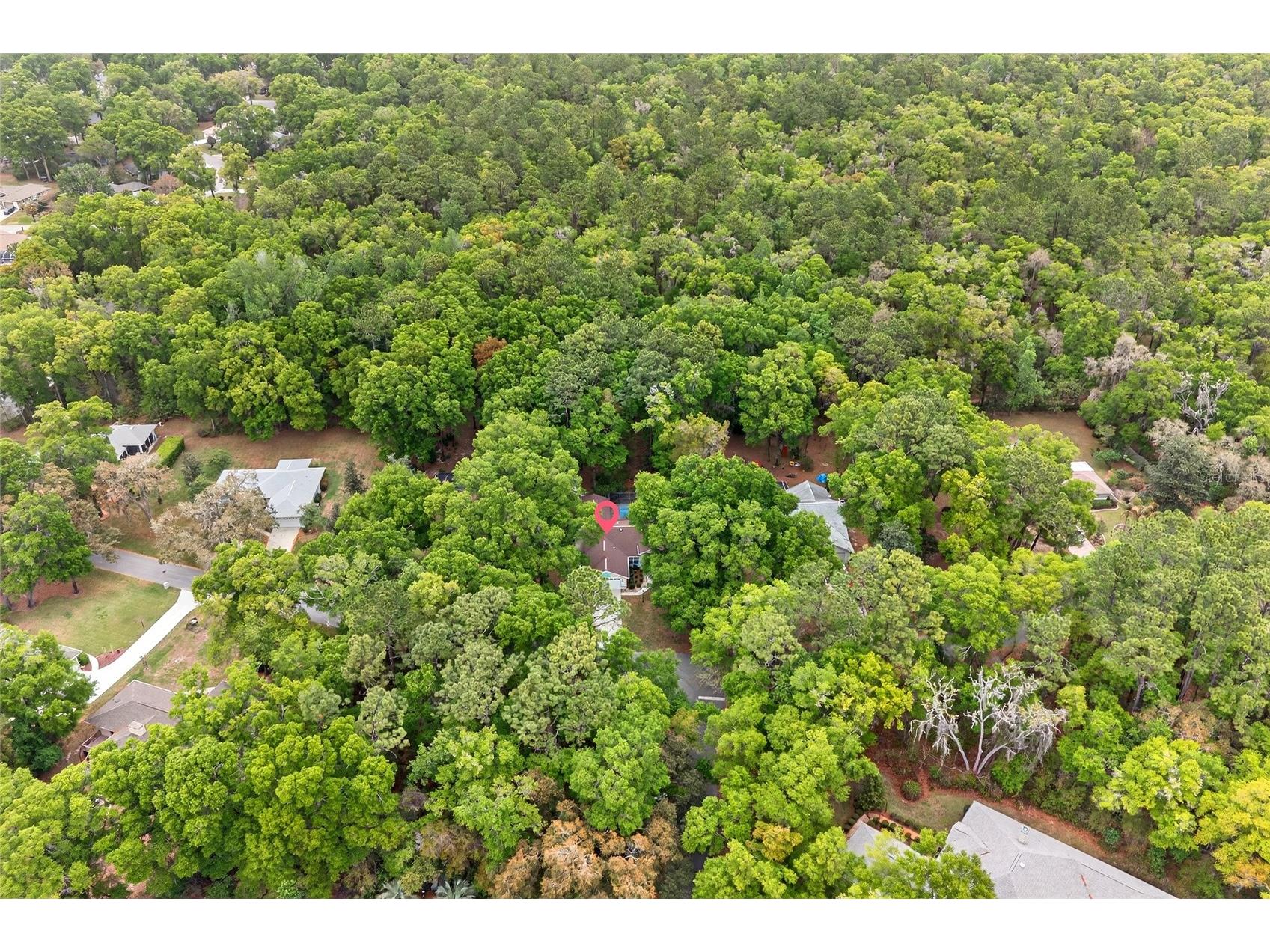 18848 SW 93rd Loop Dunnellon FL 34432 OM721454 image6