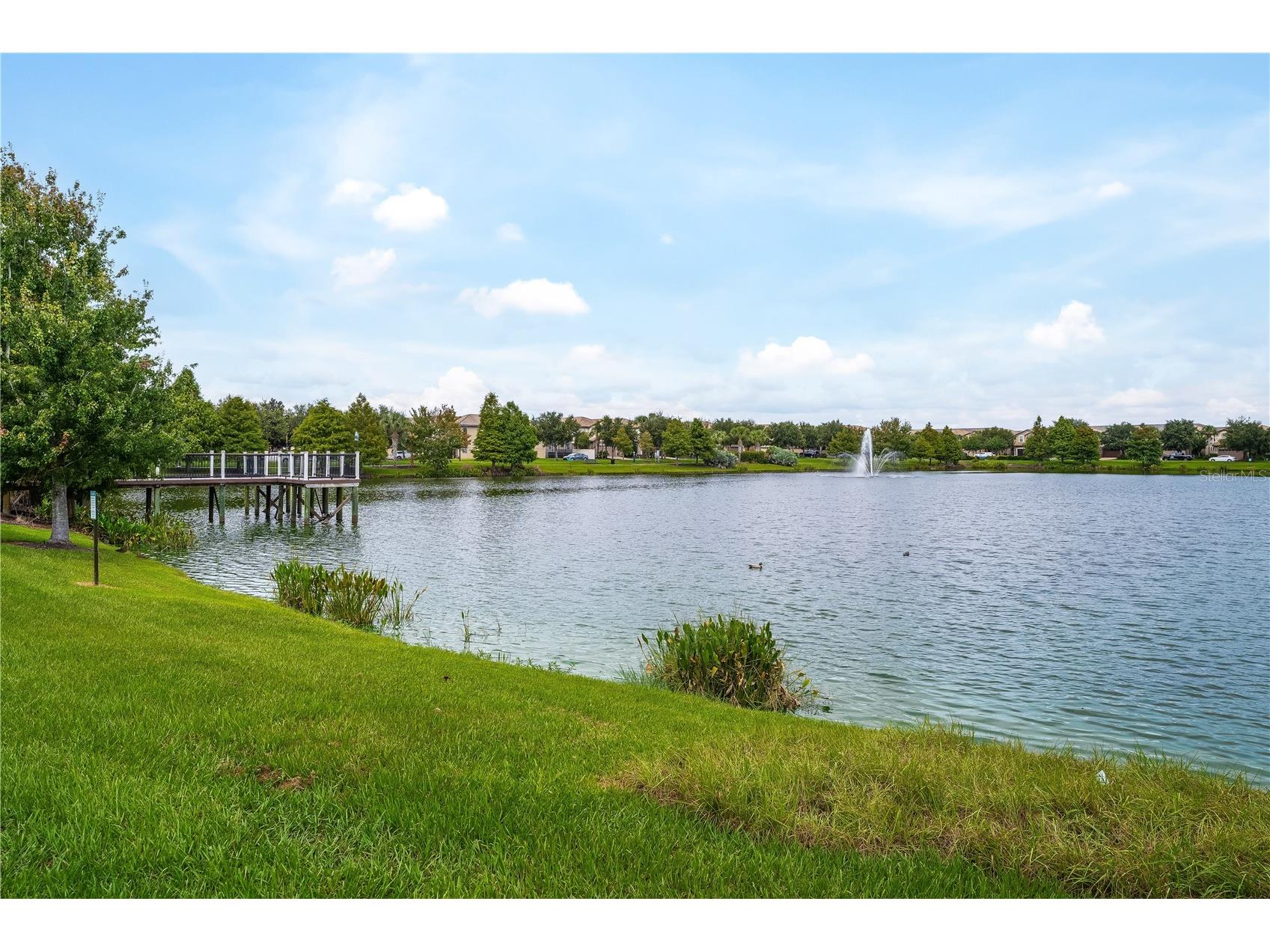 1885 Gobi Drive Kissimmee FL 34747 O6383464 image39