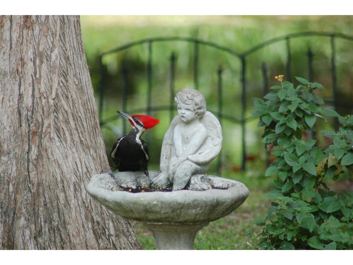 1885 S Westlake Drive Inverness FL 34450 G5099854 image57