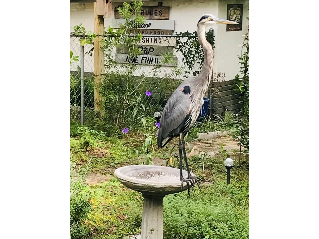 1885 S Westlake Drive Inverness FL 34450 G5099854 image65