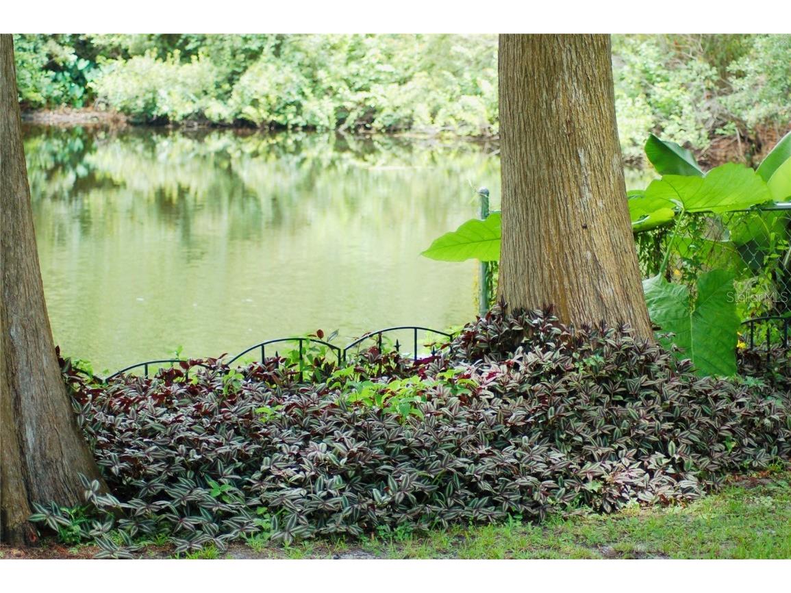 1885 S Westlake Drive Inverness FL 34450 G5099854 image66