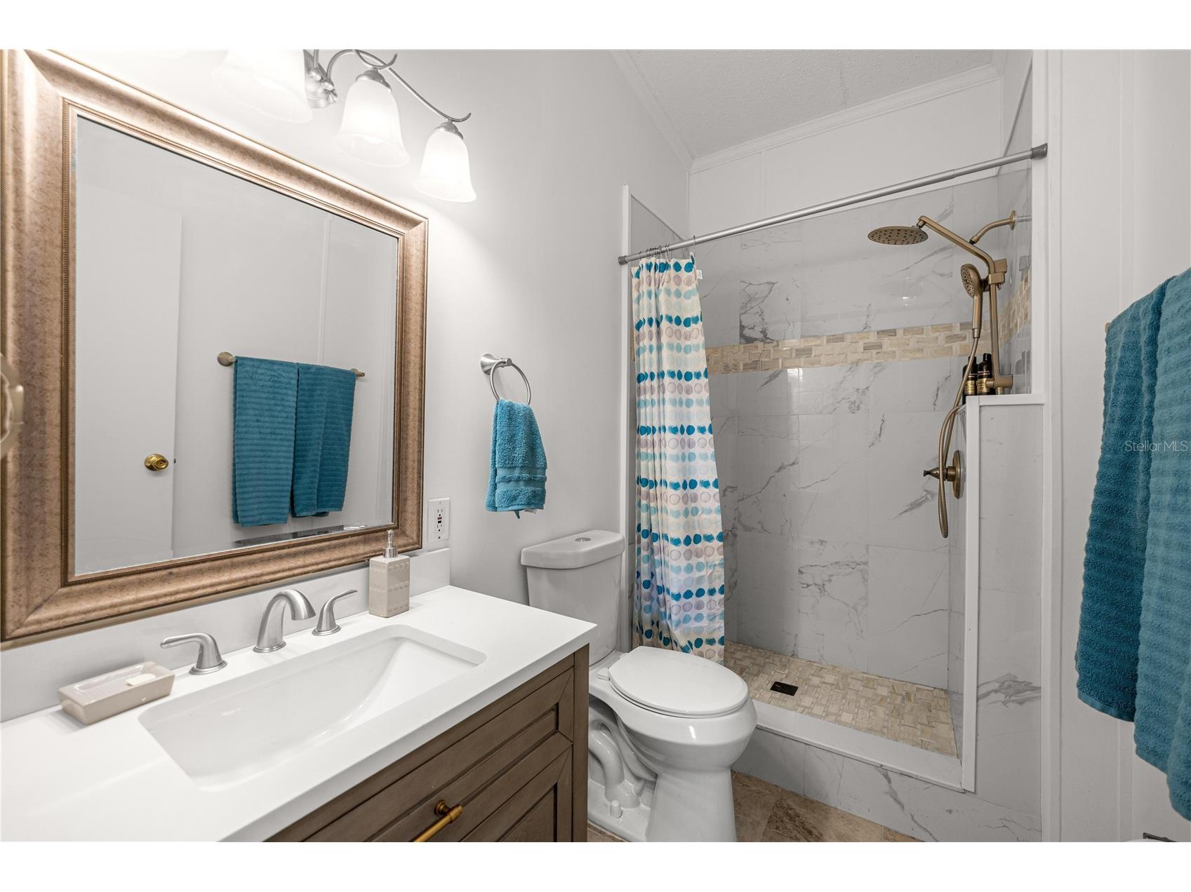 18850 SE 12th Lane Williston FL 32696 OM721124 image20