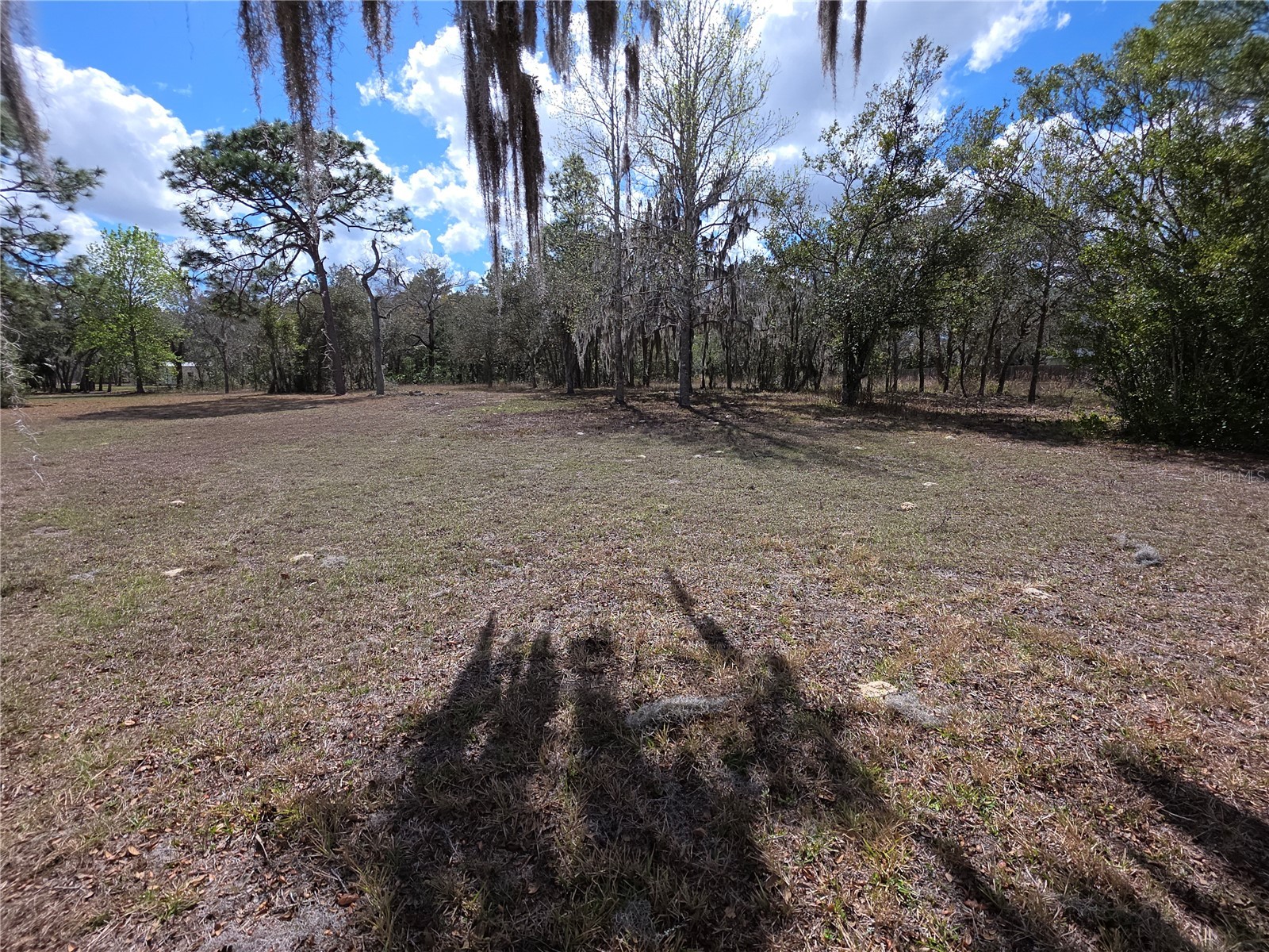 18851 Kelly Road Spring Hill FL 34610 W7883513 image19