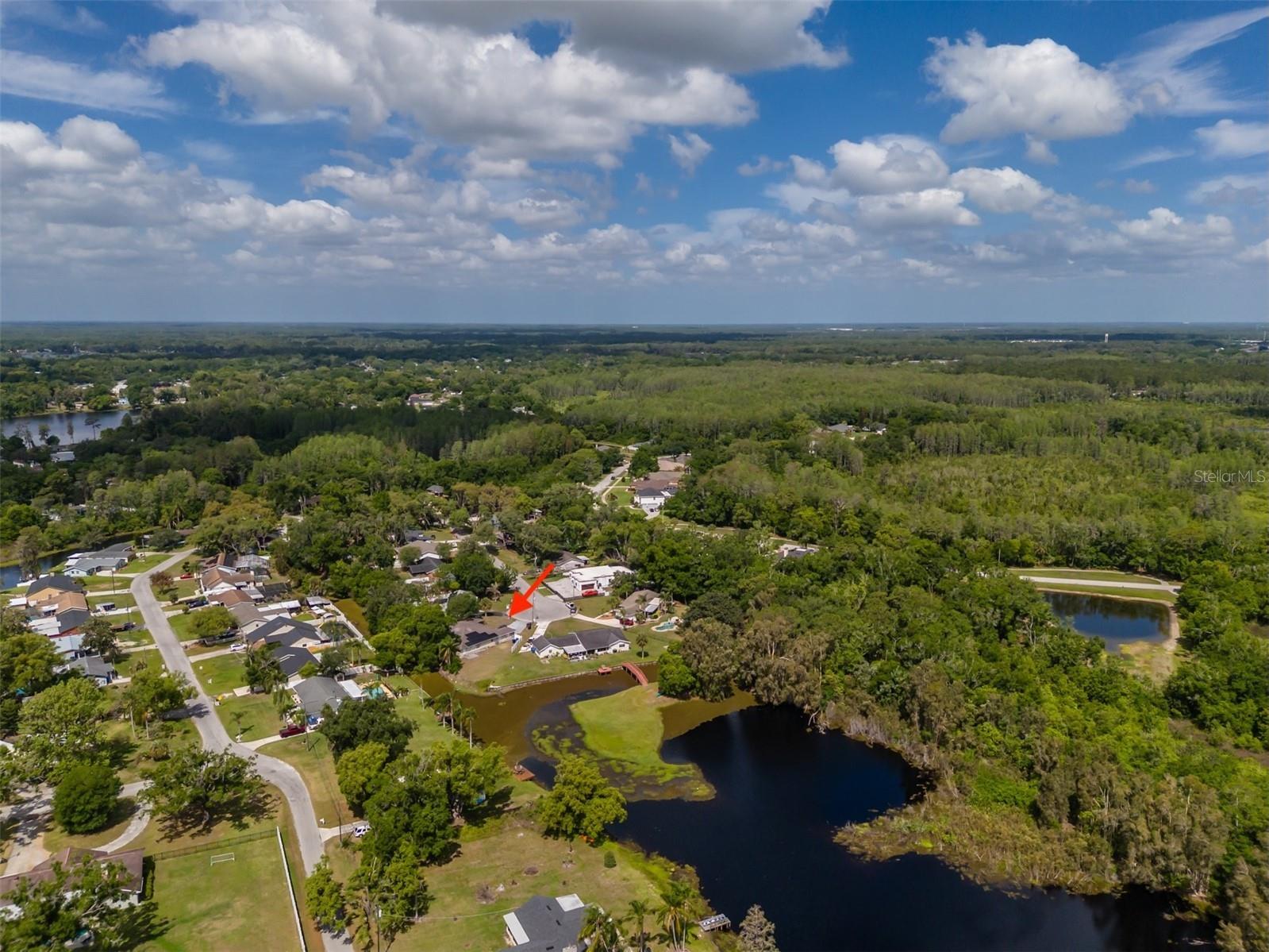 18853 Tracer Drive Lutz FL 33549 TB8496978 image34