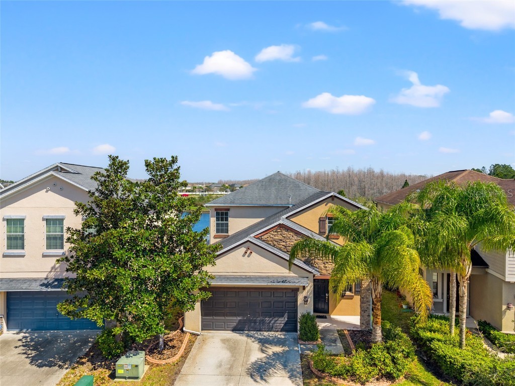 18855 Hampstead Heath Court Land O Lakes FL 34638 TB8354751 image1