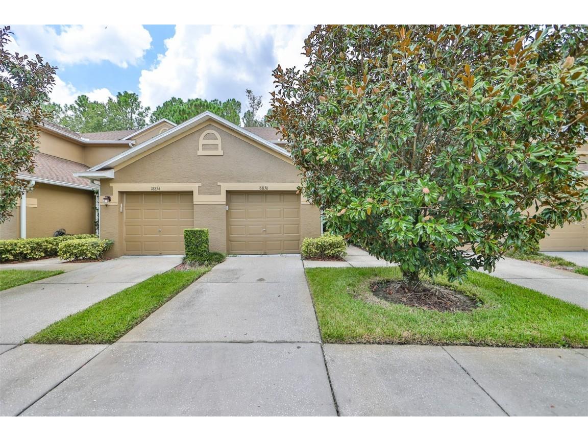 18856 Duquesne Drive Tampa FL 33647 T3463124 image1
