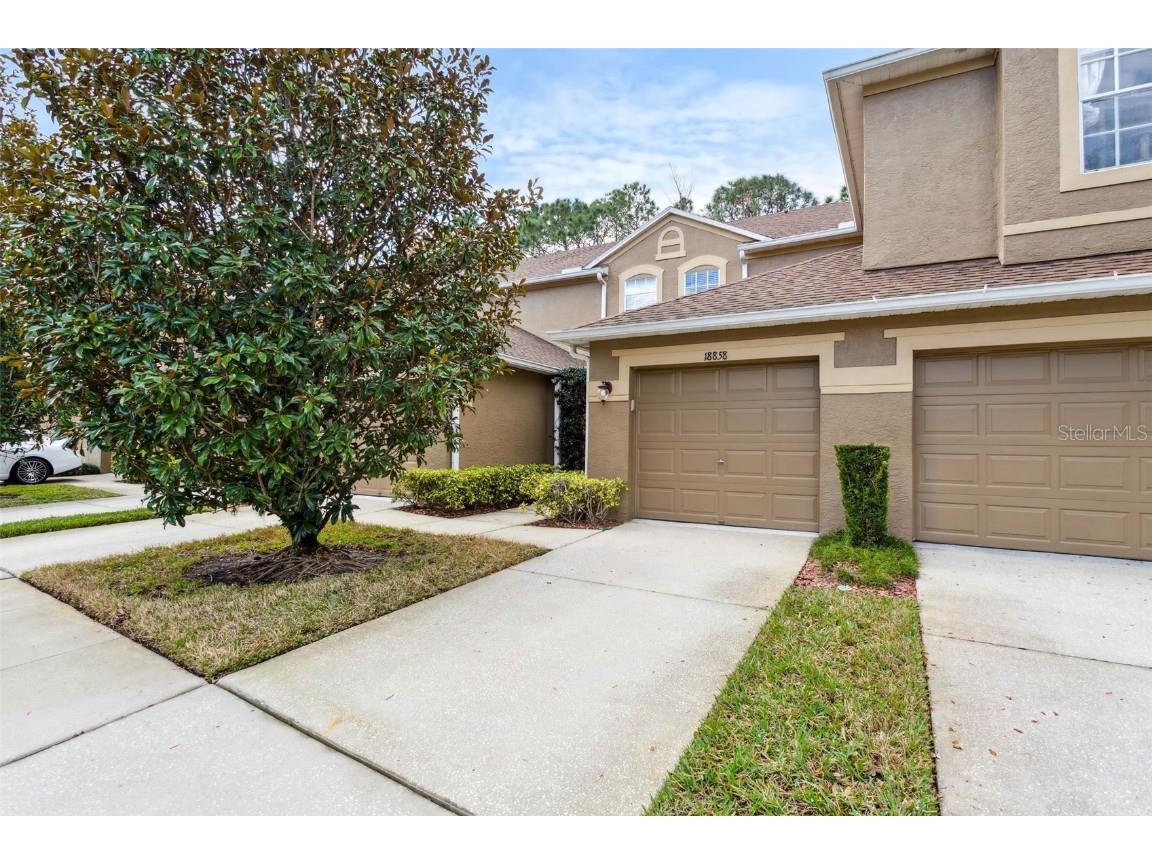 18858 Duquesne Drive Tampa FL 33647 T3501062 image1