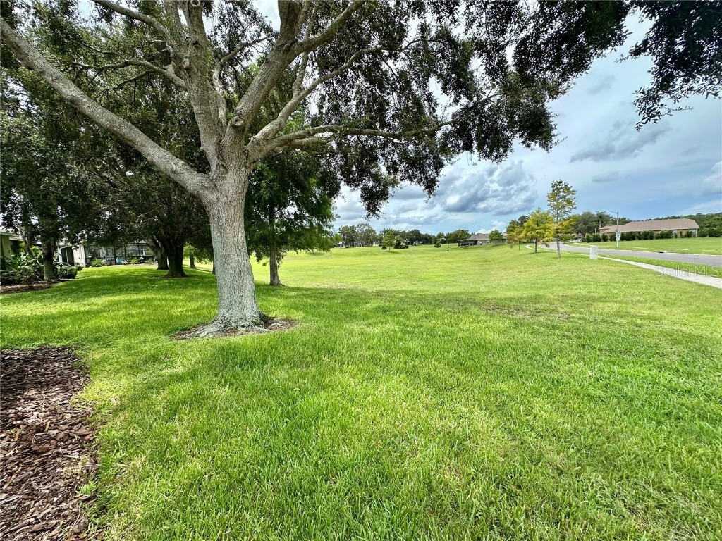 18861 Water Lily Lane Hudson FL 34667 W7878058 image51