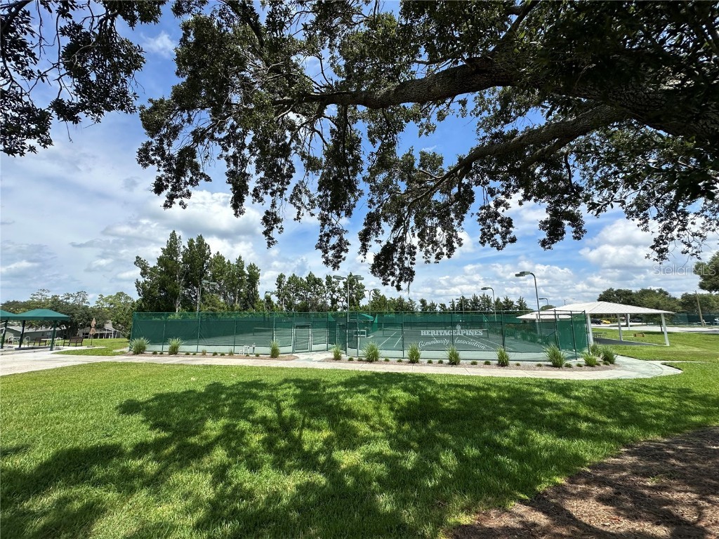 18861 Water Lily Lane Hudson FL 34667 W7878058 image72