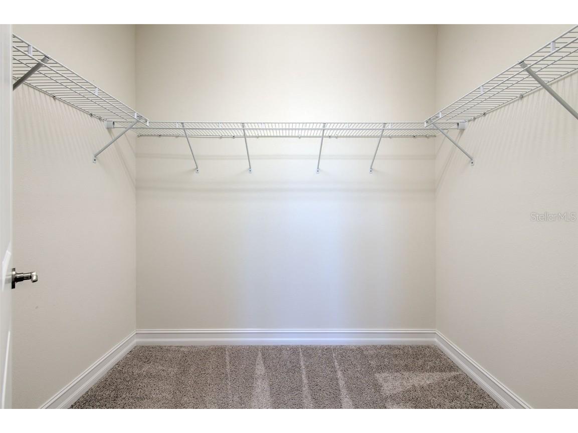 18864 Noble Caspian Drive Lutz FL 33558 TB8452801 image12