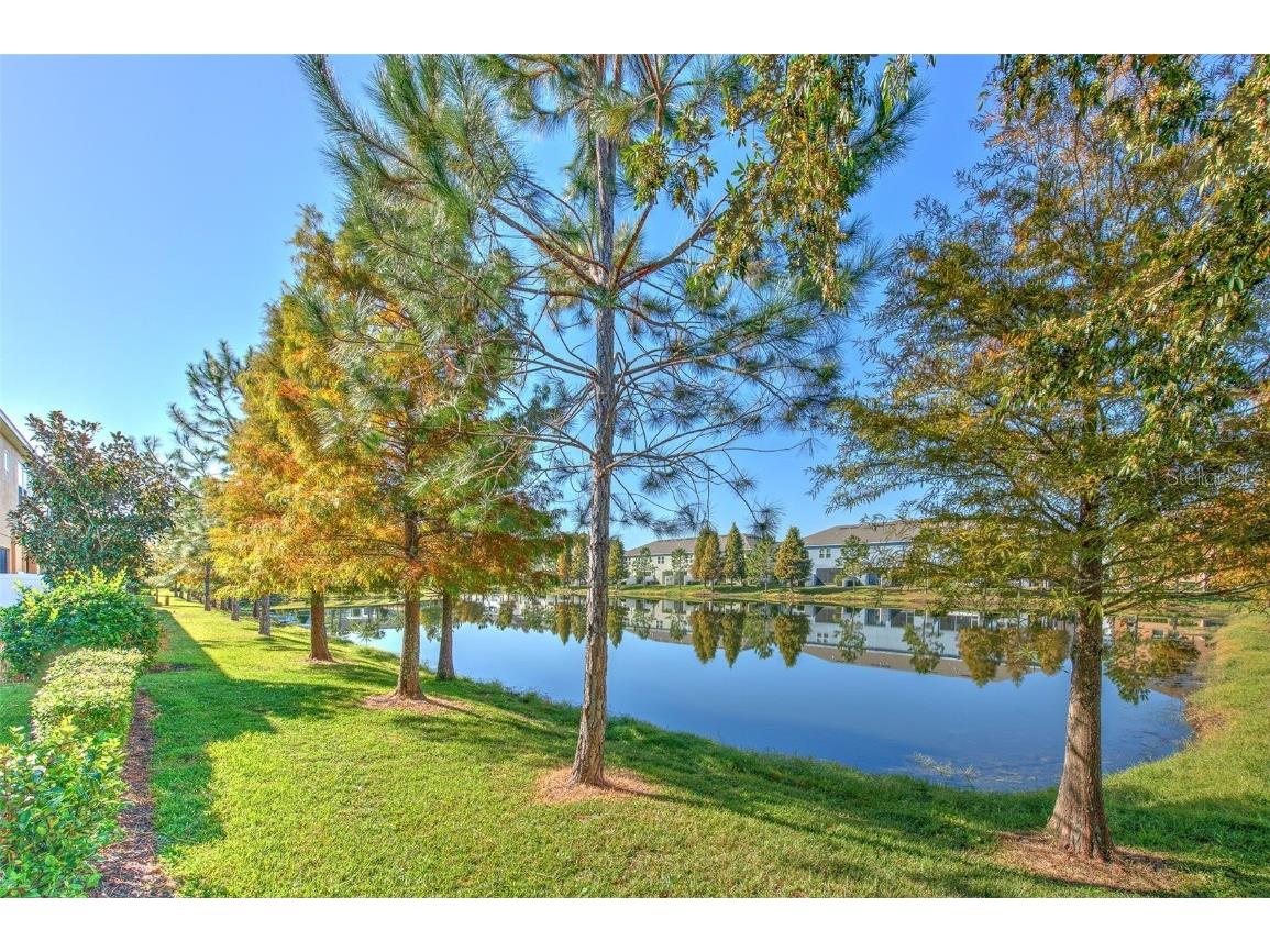 18864 Noble Caspian Drive Lutz FL 33558 TB8452801 image18