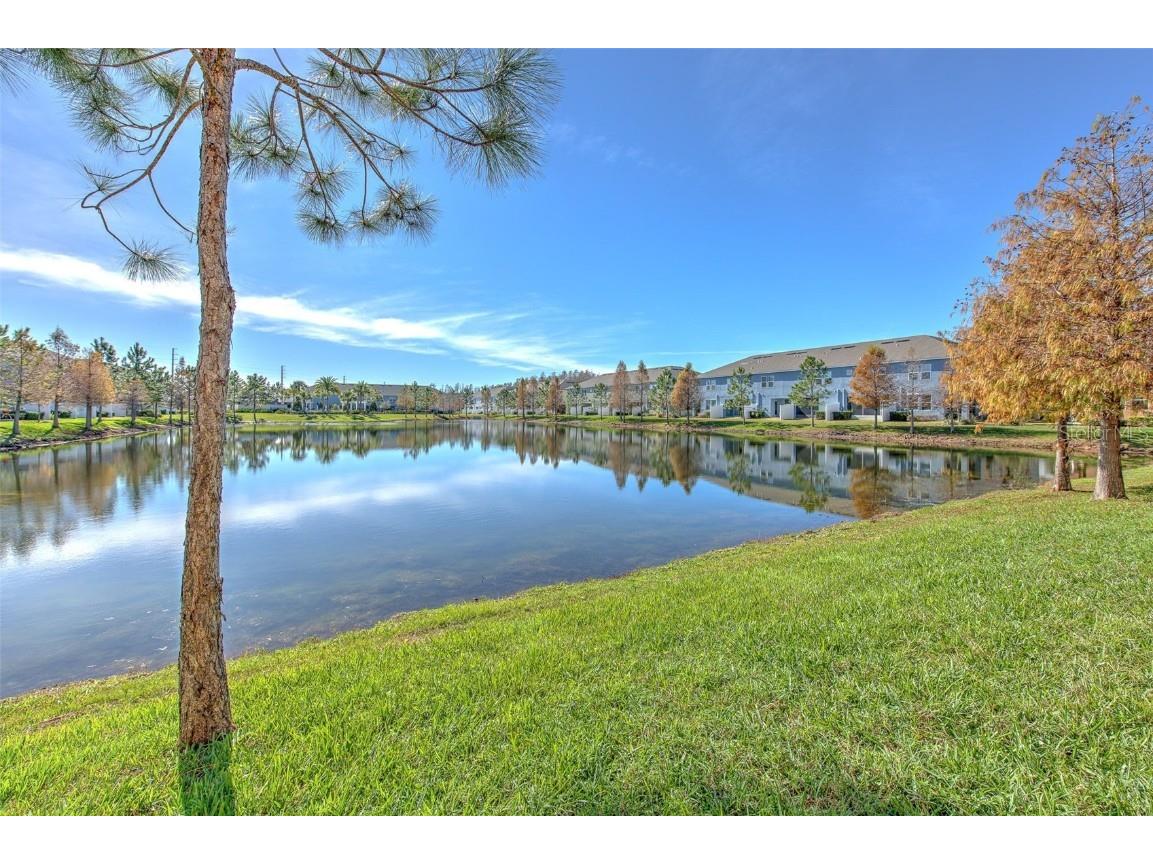 18864 Noble Caspian Drive Lutz FL 33558 TB8452801 image20