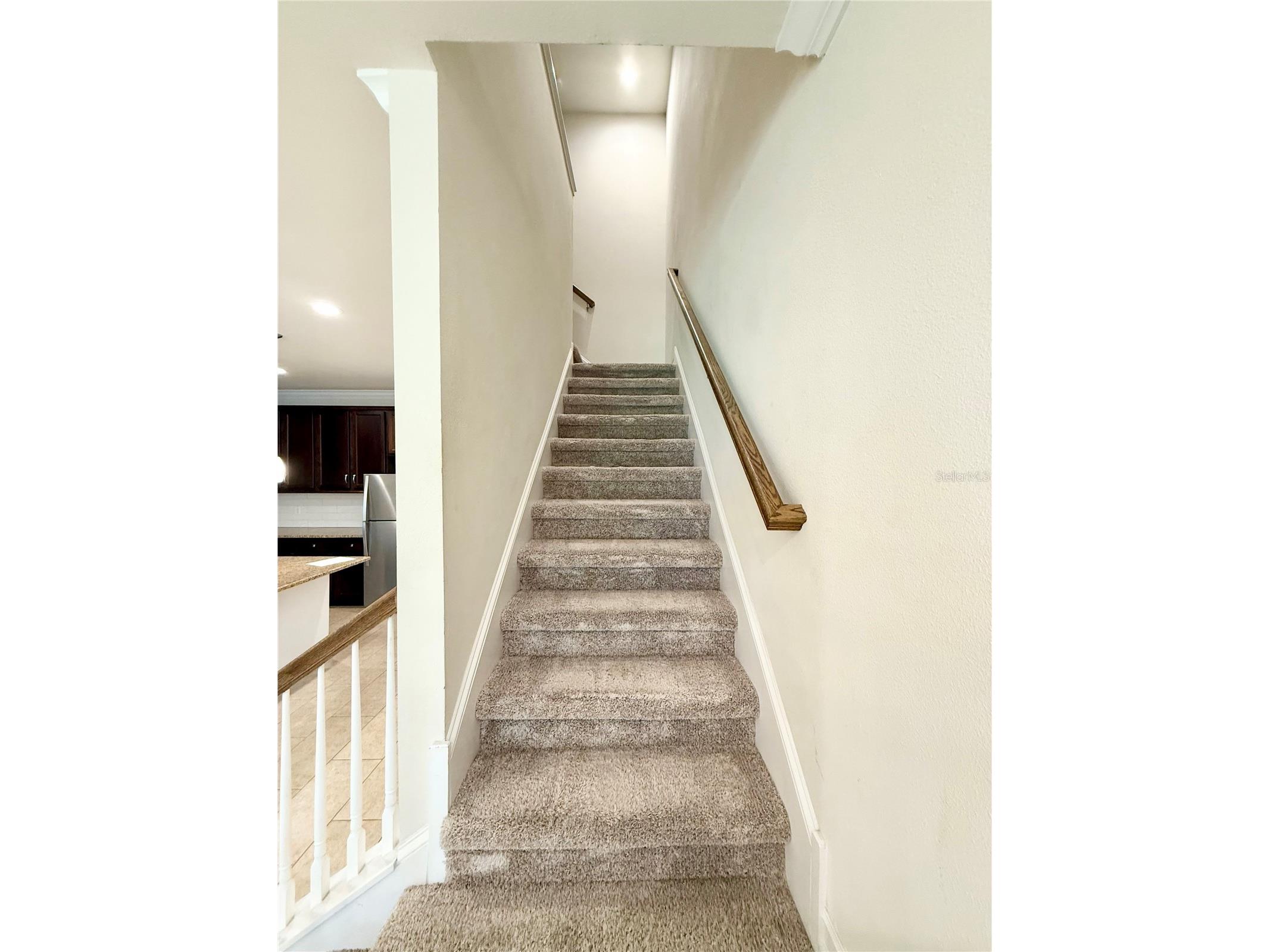 18864 Noble Caspian Way Lutz FL 33558 TB8517050 image10
