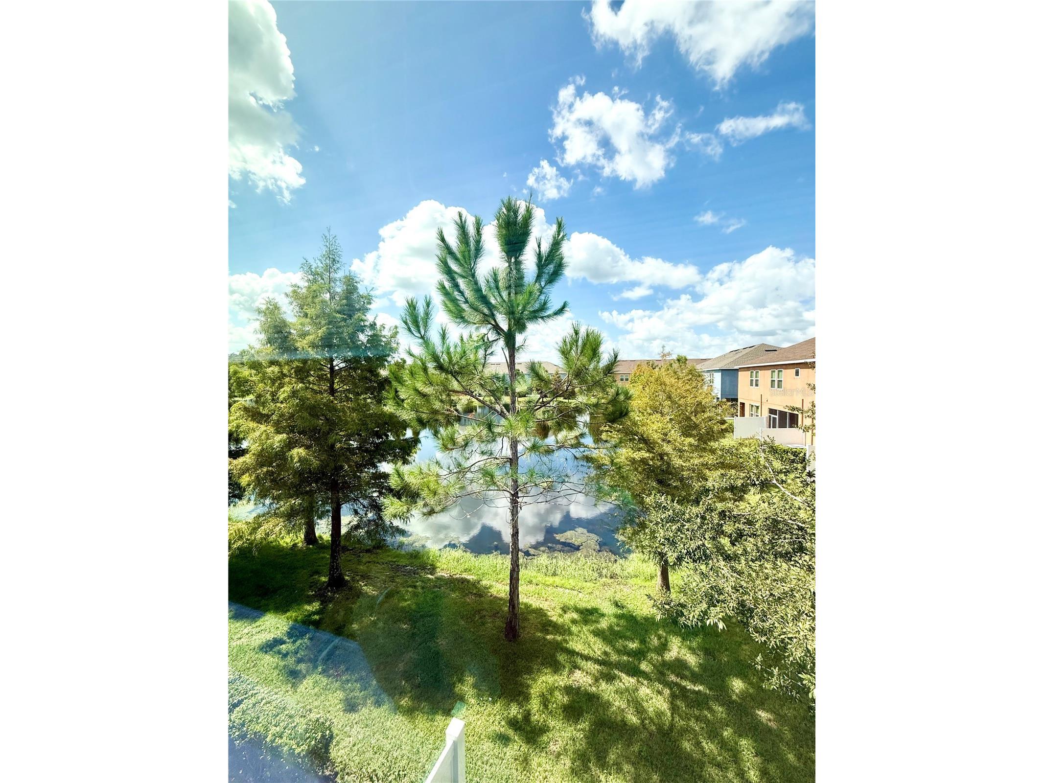 18864 Noble Caspian Way Lutz FL 33558 TB8517050 image13