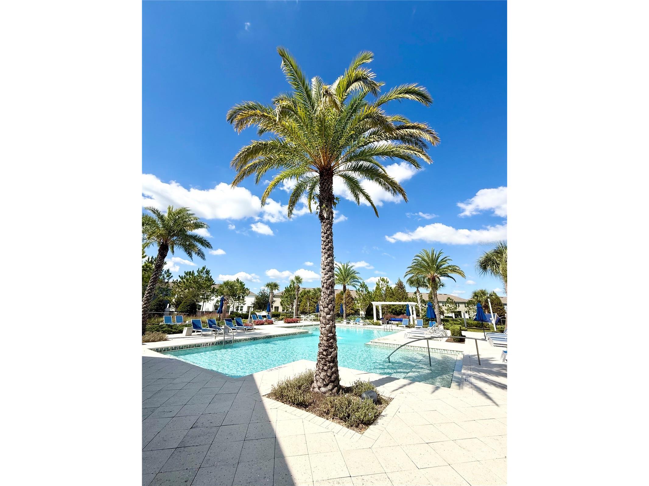 18864 Noble Caspian Way Lutz FL 33558 TB8517050 image20