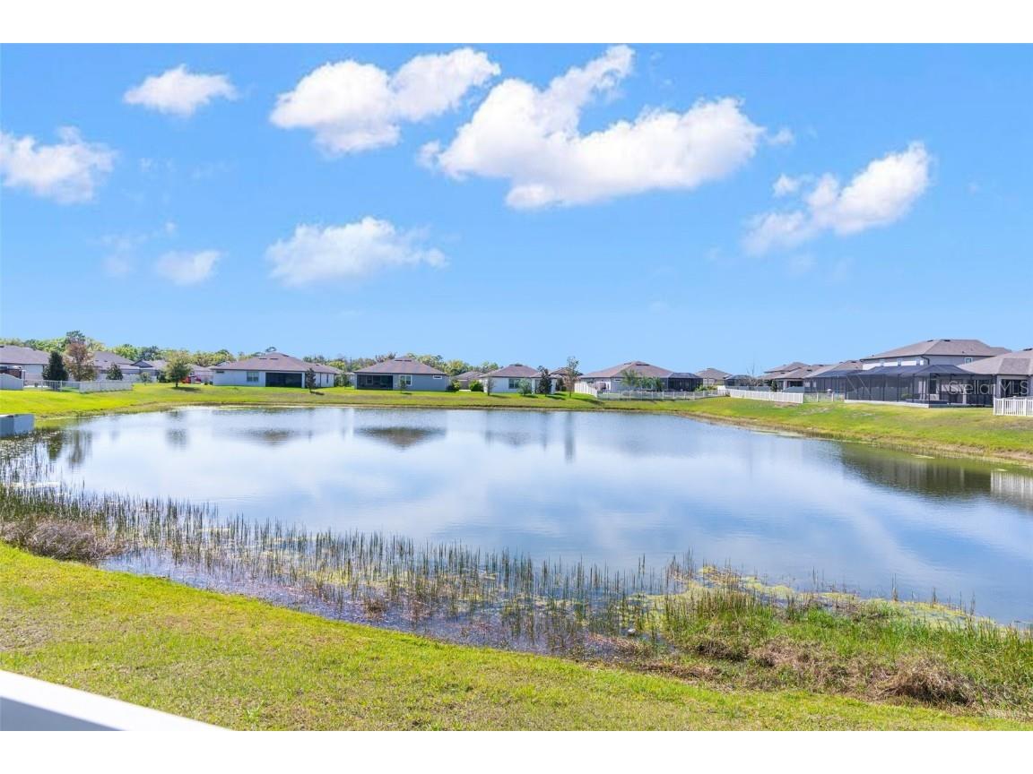 18871 Henequen Lane Spring Hill FL 34610 U8233815 image33