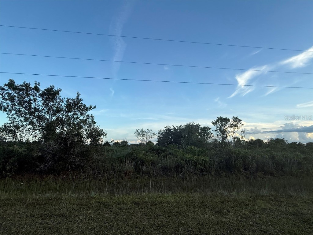 18878 NW 260th Street Okeechobee FL 34972 OK225470 image1