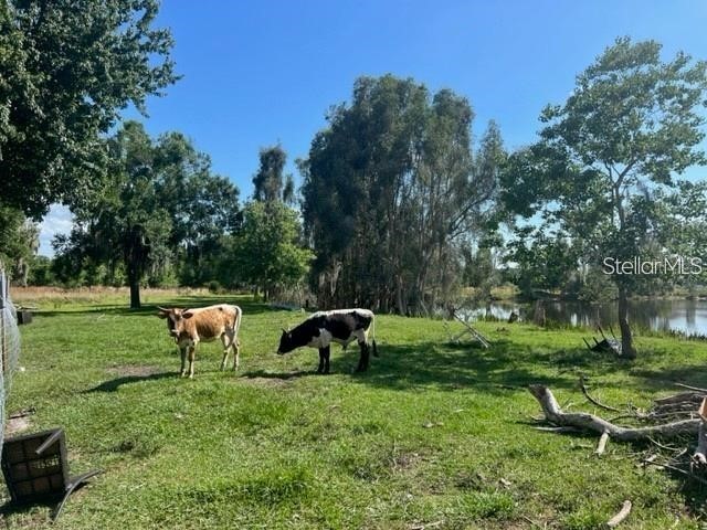 1888 Druliner Road Saint Cloud FL 34771 TB8413454 image6