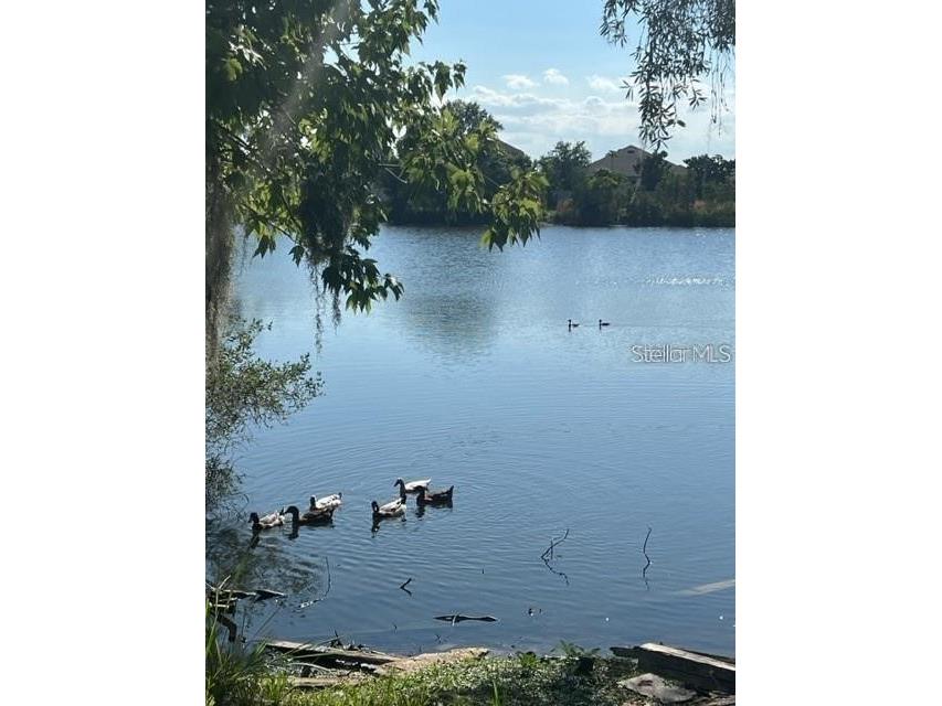 1888 Druliner Road Saint Cloud FL 34771 TB8413454 image8