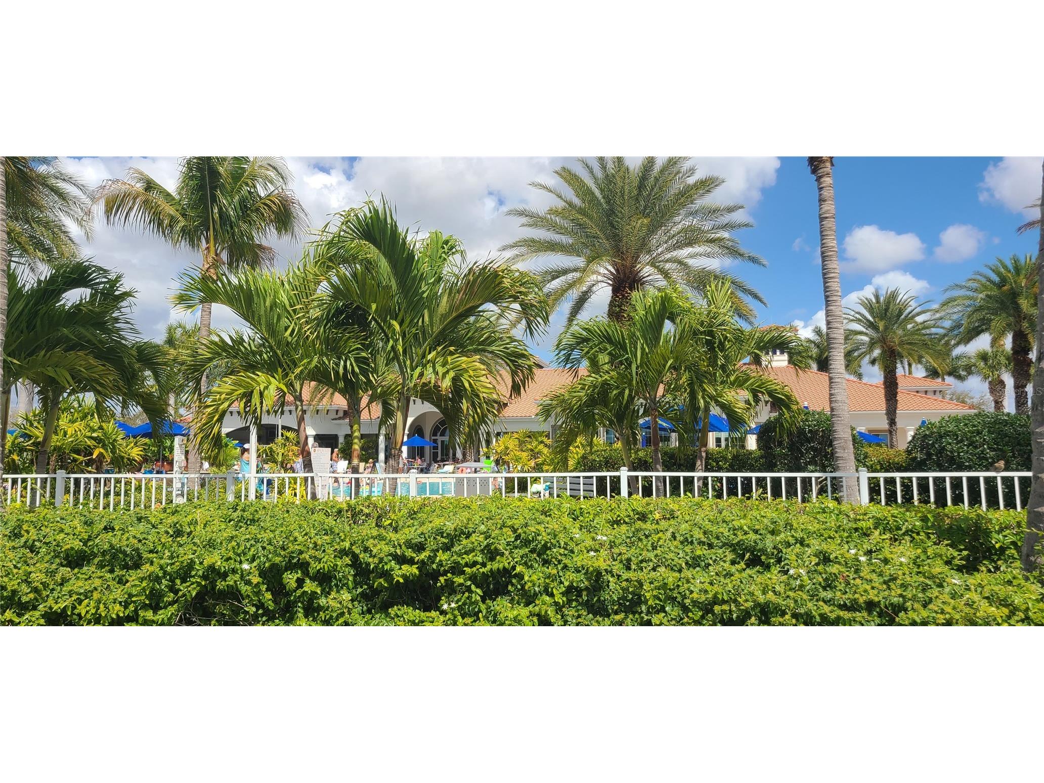 18884 Lanuvio Street Venice FL 34293 A4687111 image10