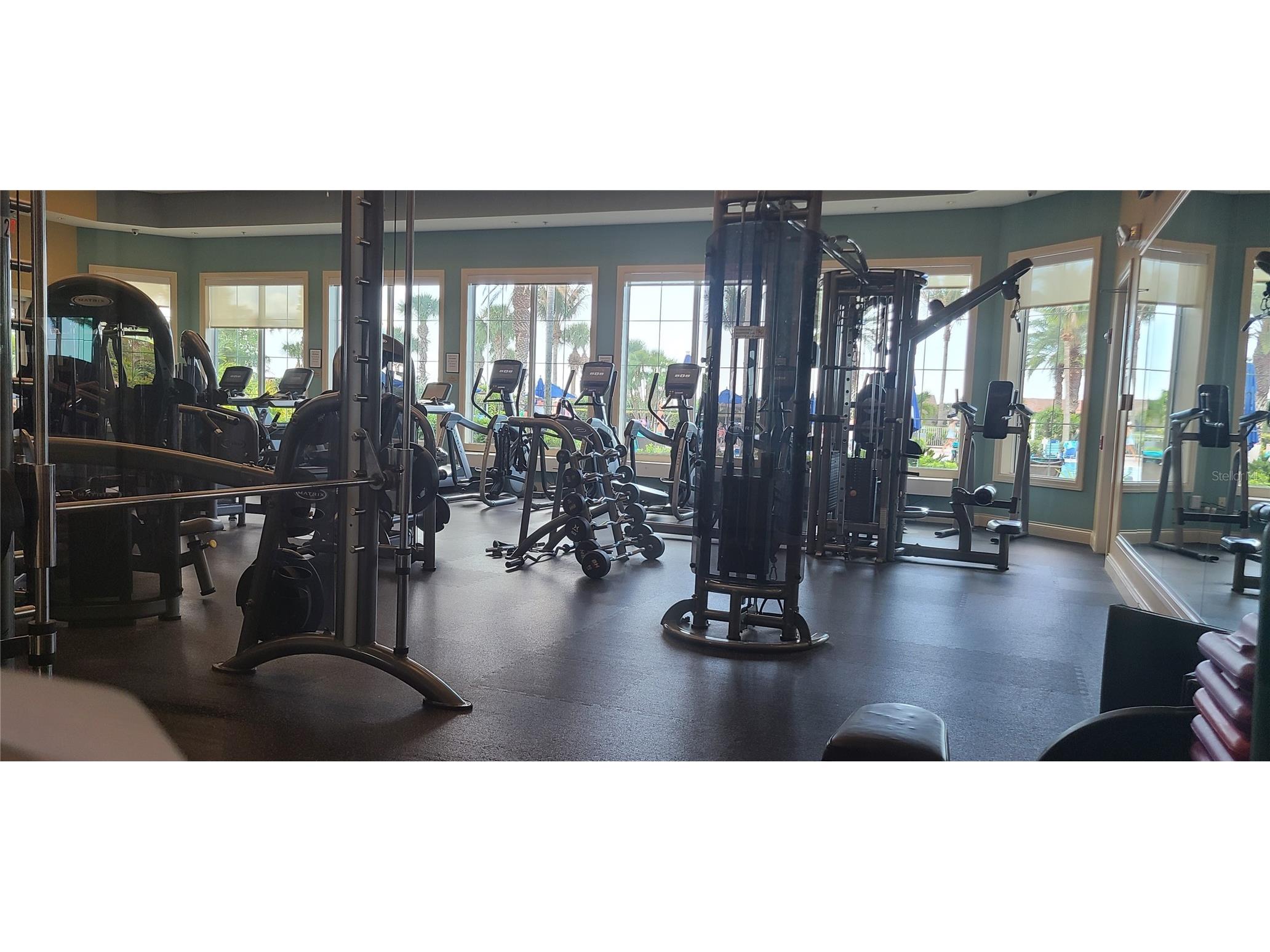 18884 Lanuvio Street Venice FL 34293 A4687111 image13