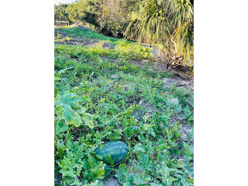 1889 Ranchland Trail Longwood FL 32750 V4945399 image45