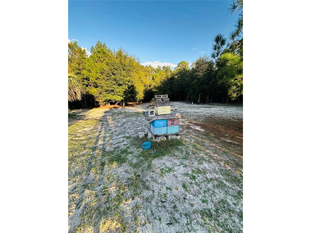 1889 Ranchland Trail Longwood FL 32750 V4945399 image46