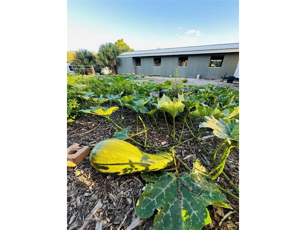 1889 Ranchland Trail Longwood FL 32750 V4945399 image48