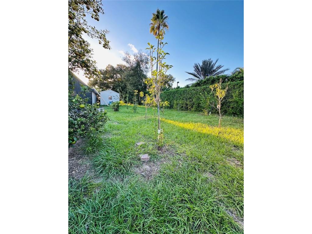 1889 Ranchland Trail Longwood FL 32750 V4945399 image49