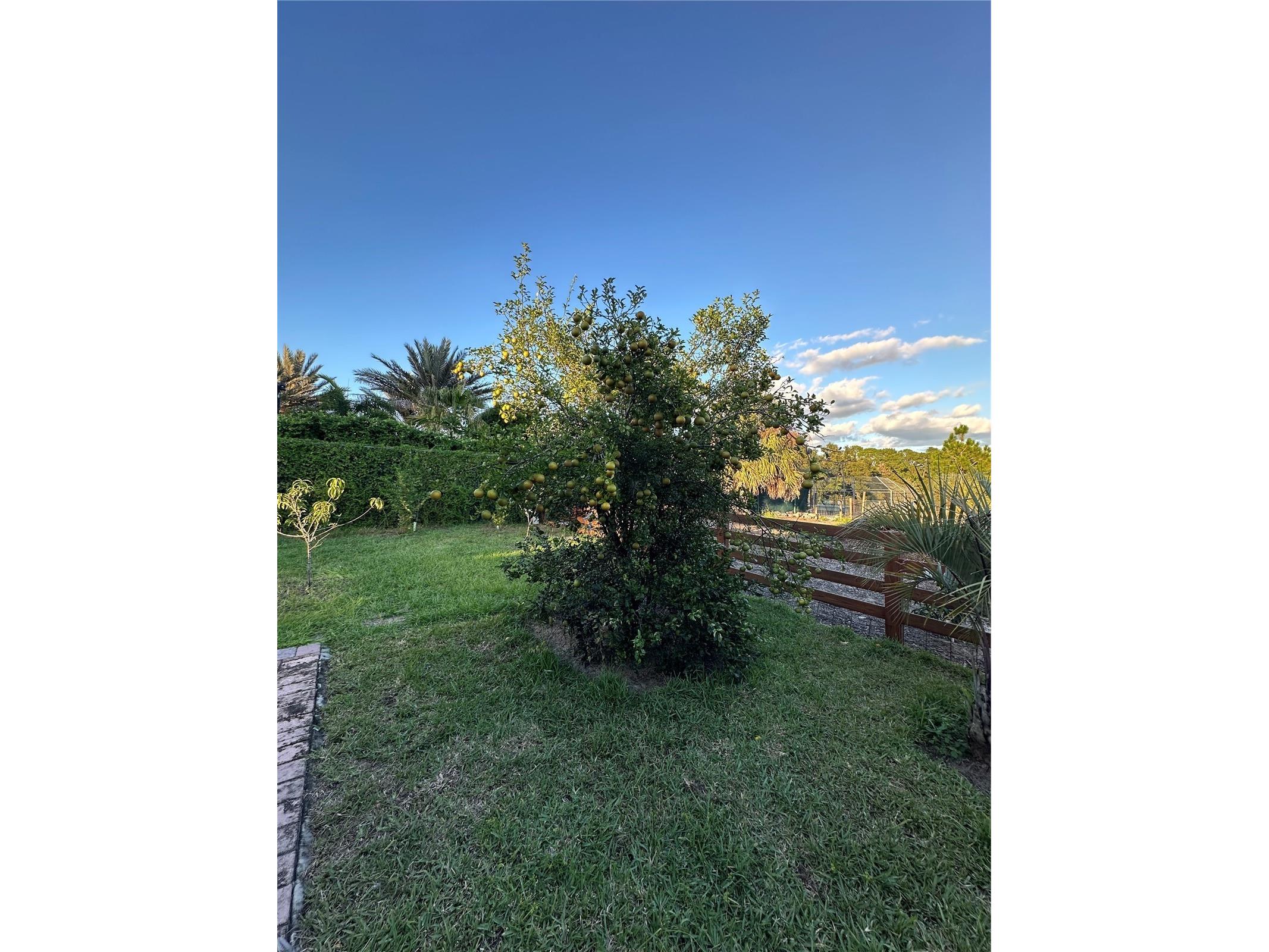 1889 Ranchland Trail Longwood FL 32750 V4948599 image42
