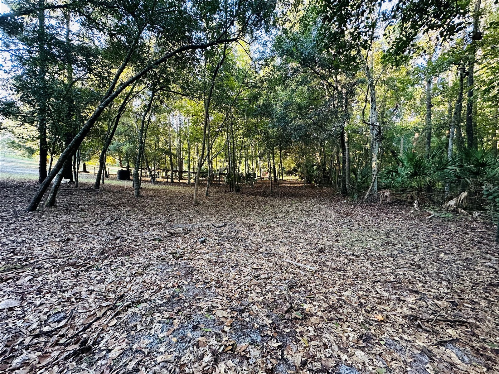 1889 Ranchland Trail Longwood FL 32750 V4948599 image45
