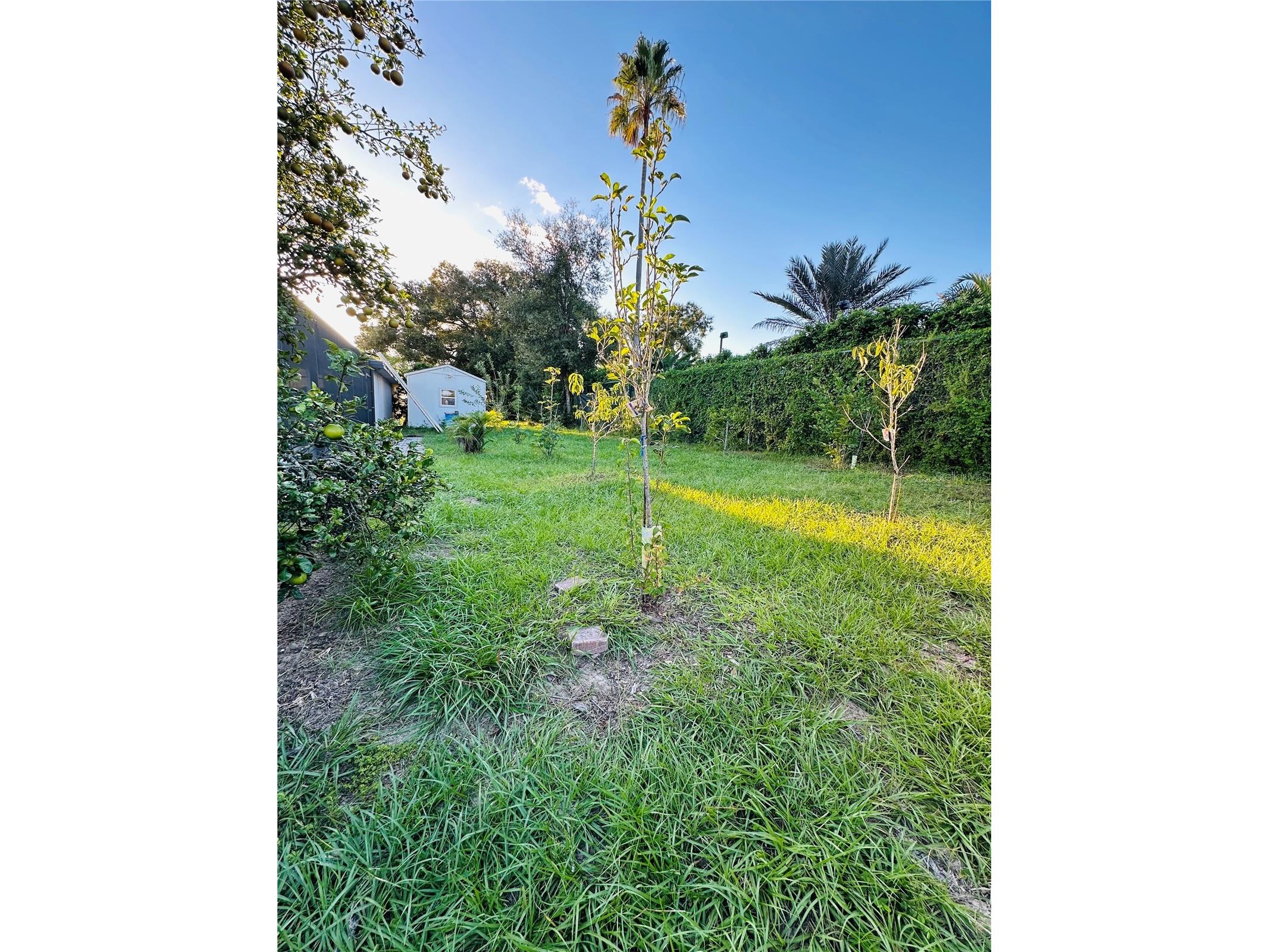 1889 Ranchland Trail Longwood FL 32750 V4948599 image48