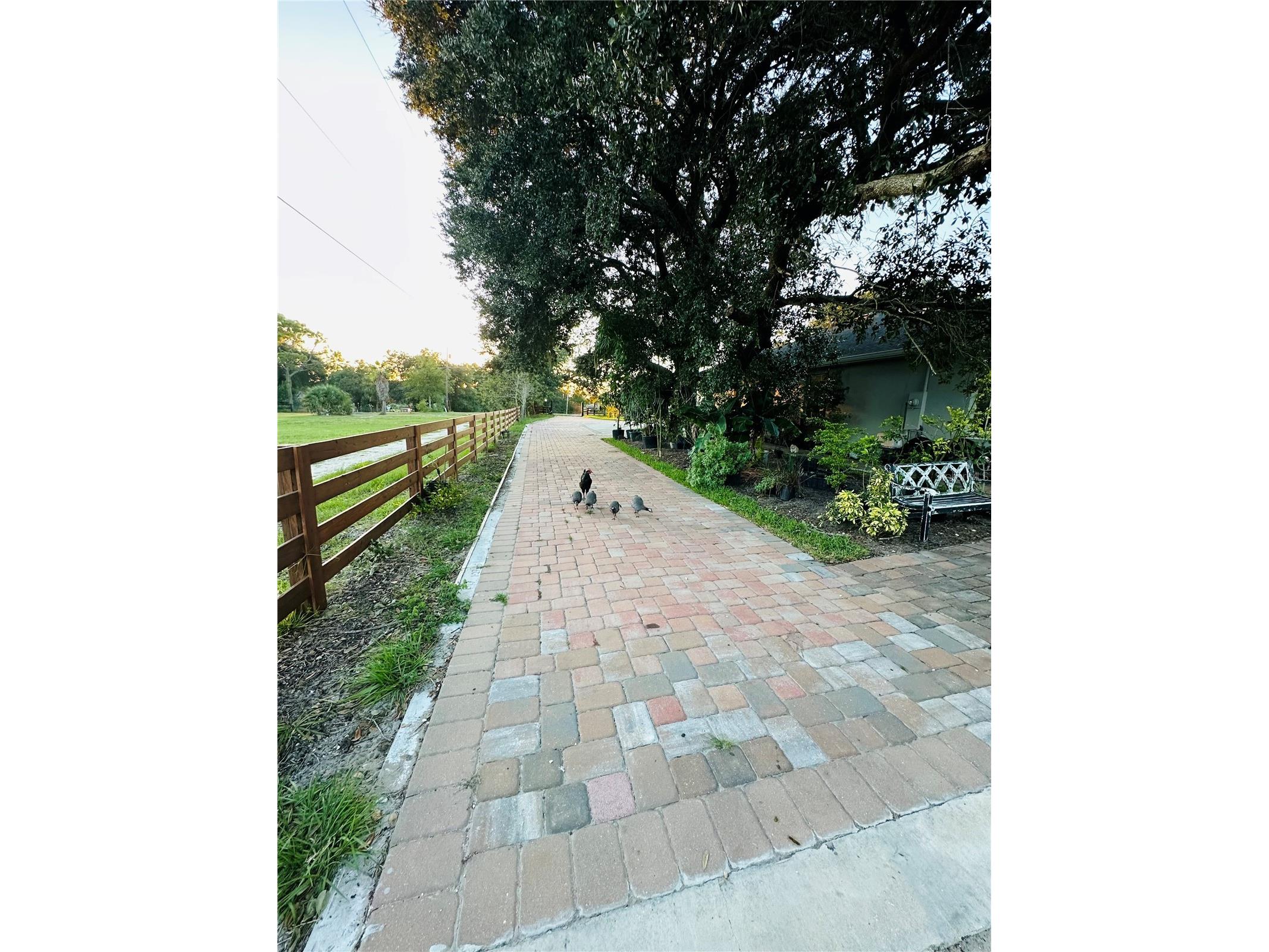1889 Ranchland Trail Longwood FL 32750 V4948599 image62