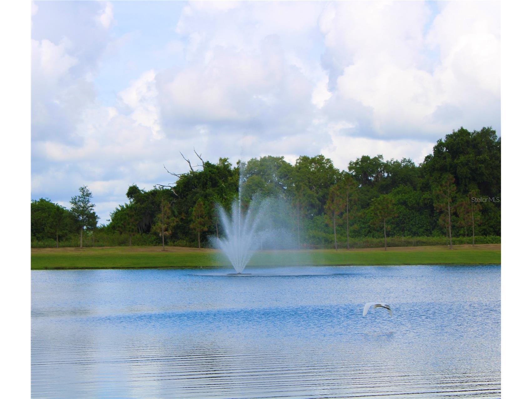 1889 Rustic Falls Drive Kissimmee FL 34744 S5138827 image44