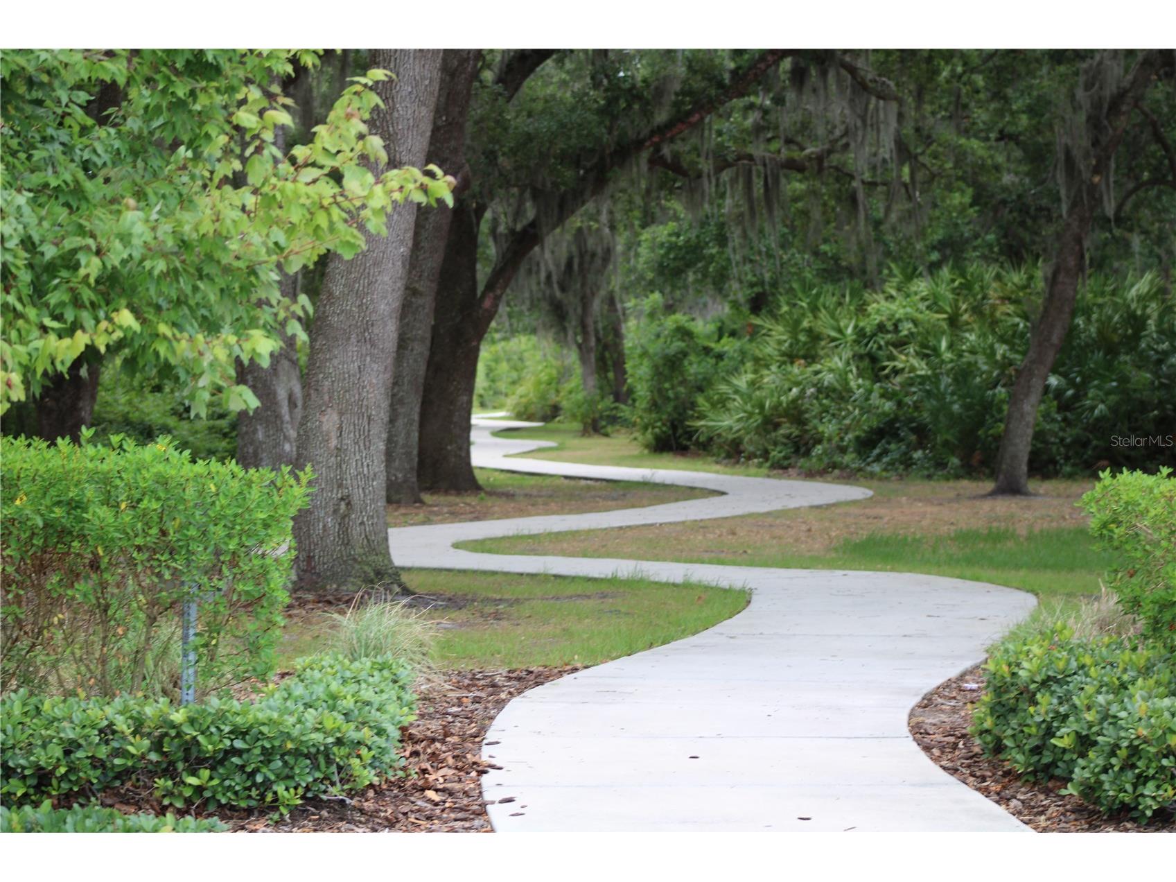 1889 Rustic Falls Drive Kissimmee FL 34744 S5138827 image50