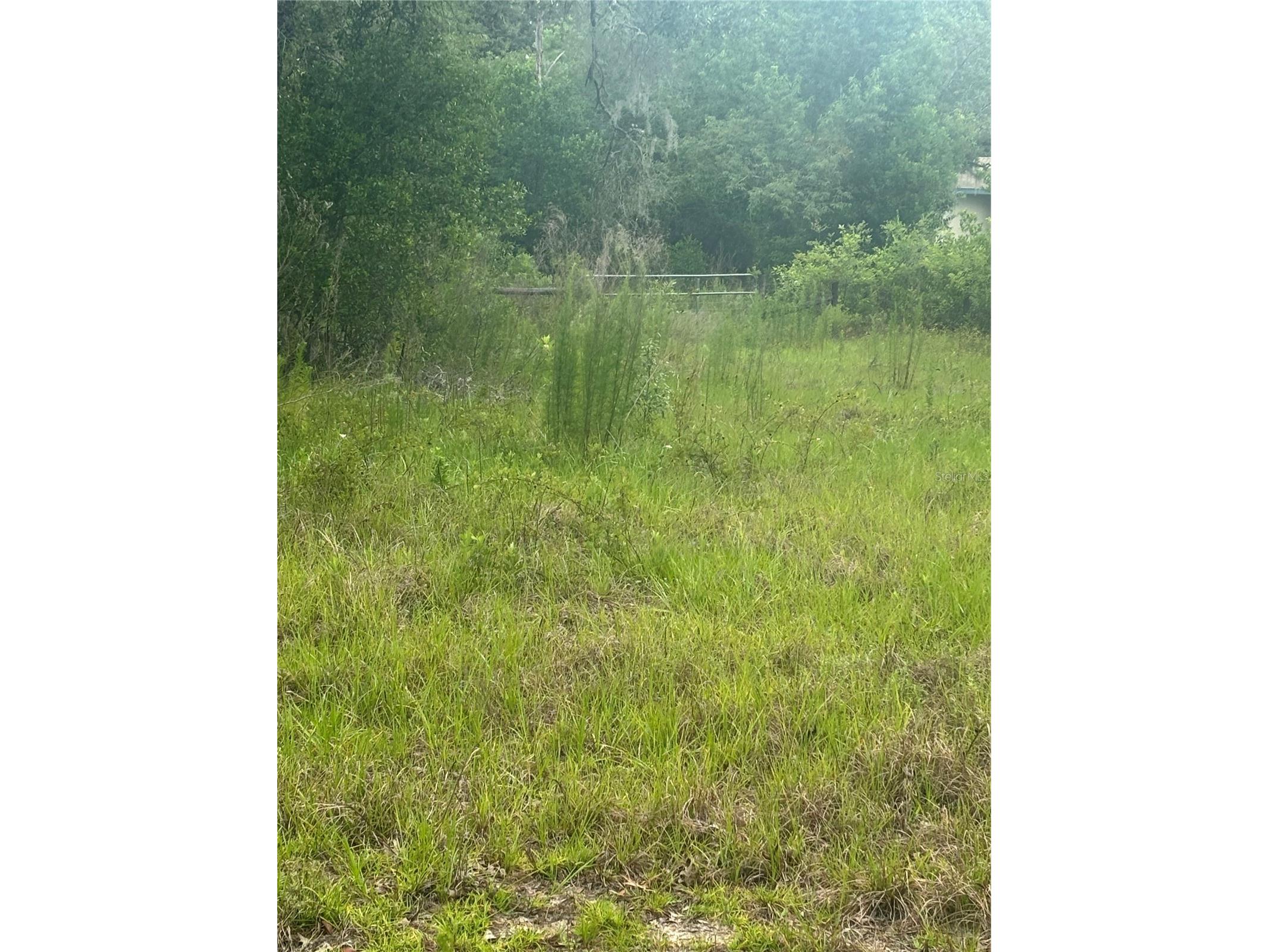 18890 SW 44th Street Dunnellon FL 34432 OM725952 image11